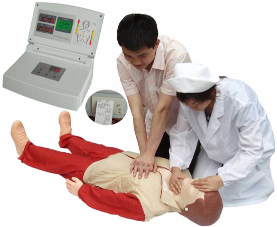 CPR480߼ȫԶķθģ